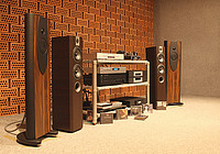 Divine Acoustics Electra, Focal Chorus 714 V