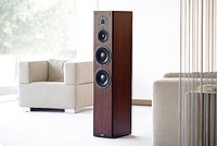 kolumny Dynaudio Focus 360